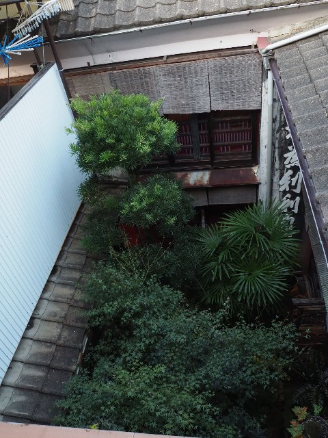 f:id:sakamotwin:20191108232449j:image
