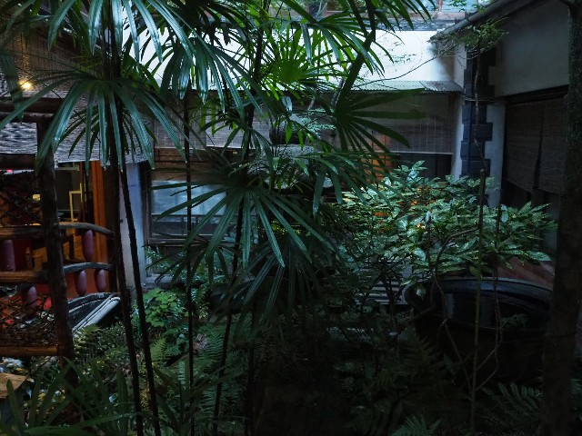 f:id:sakamotwin:20191108234124j:image