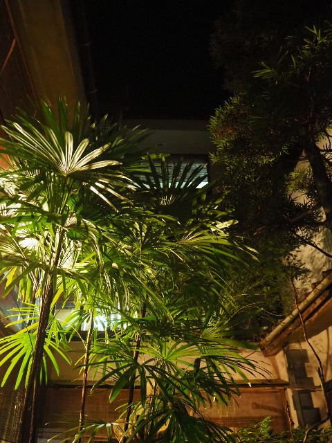 f:id:sakamotwin:20191108234831j:image