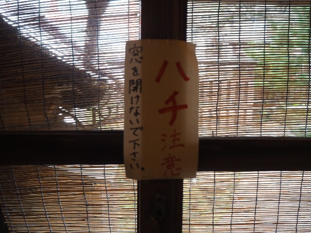 f:id:sakamotwin:20191114203727j:image