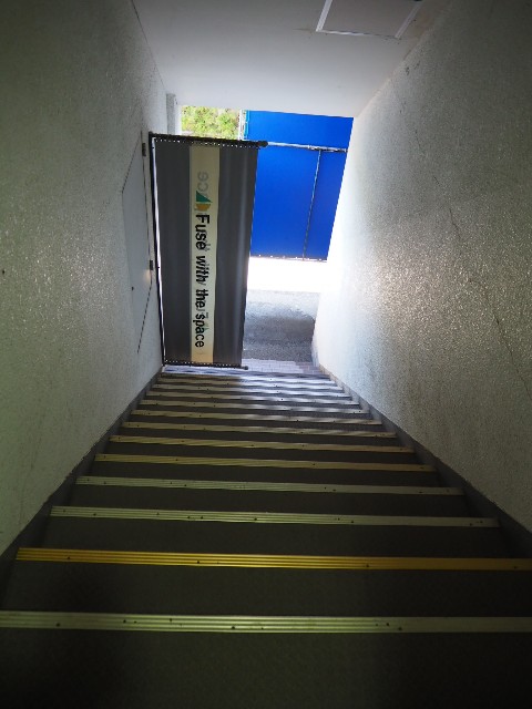 f:id:sakamotwin:20191119220647j:image f:id:sakamotwin:20191119220647j:image