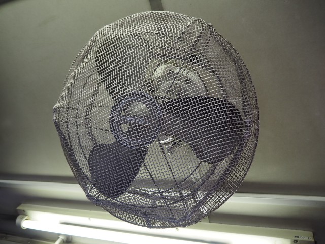 f:id:sakamotwin:20191202223137j:image