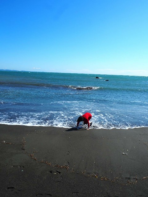 f:id:sakamotwin:20200223174119j:image f:id:sakamotwin:20200223174119j:image