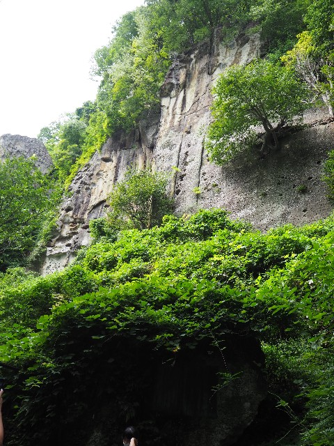 f:id:sakamotwin:20200926225816j:image