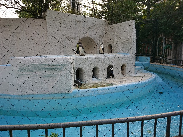 f:id:sakamotwin:20201004214741j:image
