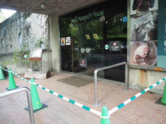 f:id:sakamotwin:20201004215025j:image