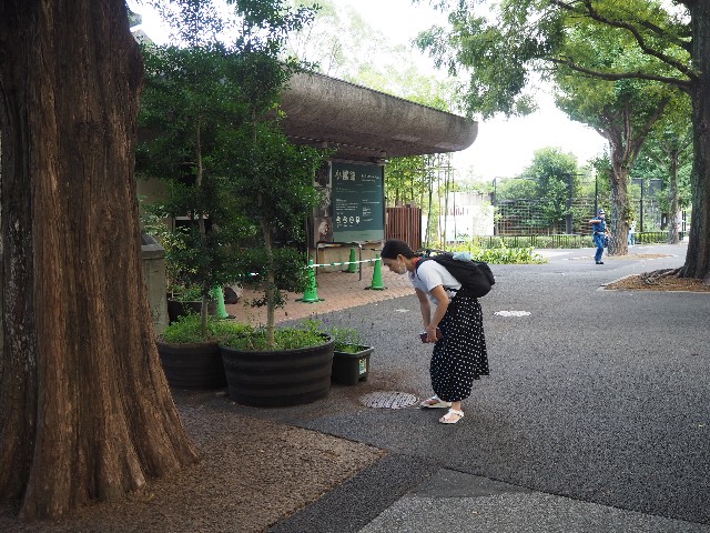 f:id:sakamotwin:20201004215213j:image