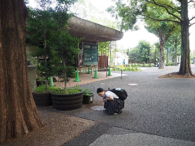 f:id:sakamotwin:20201004215243j:image
