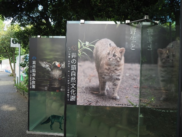 f:id:sakamotwin:20201004215326j:image