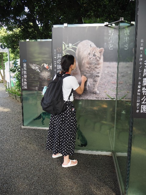 f:id:sakamotwin:20201004215343j:image