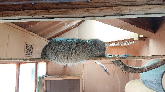 f:id:sakamotwin:20201007004722j:image