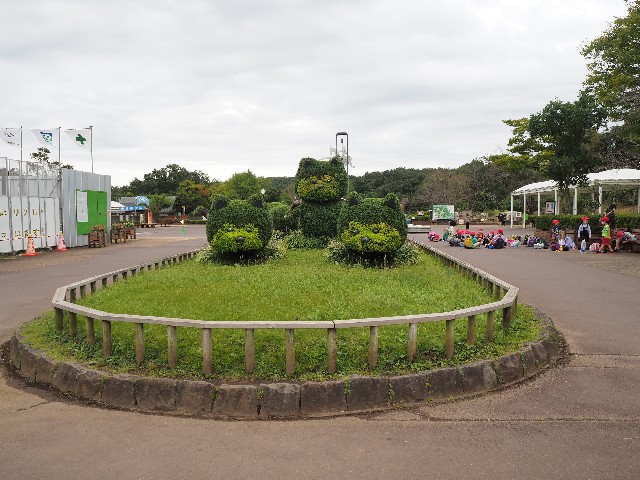 f:id:sakamotwin:20201011202816j:image