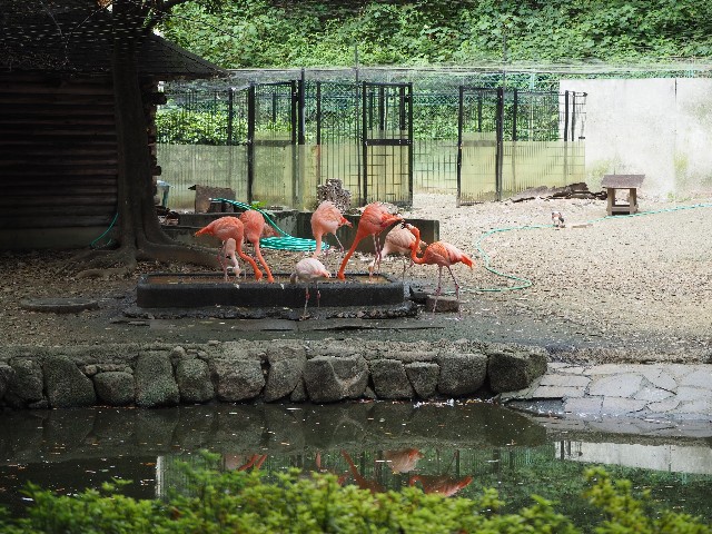 f:id:sakamotwin:20201011205140j:image