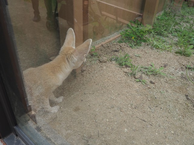 f:id:sakamotwin:20201011210807j:image