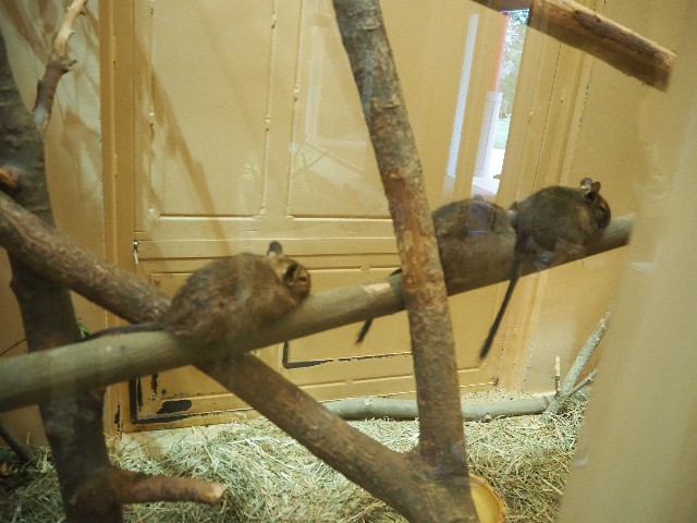 f:id:sakamotwin:20201011210838j:image