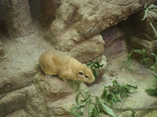 f:id:sakamotwin:20201011210856j:image