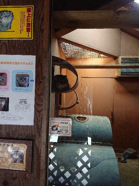 f:id:sakamotwin:20201011212957j:image