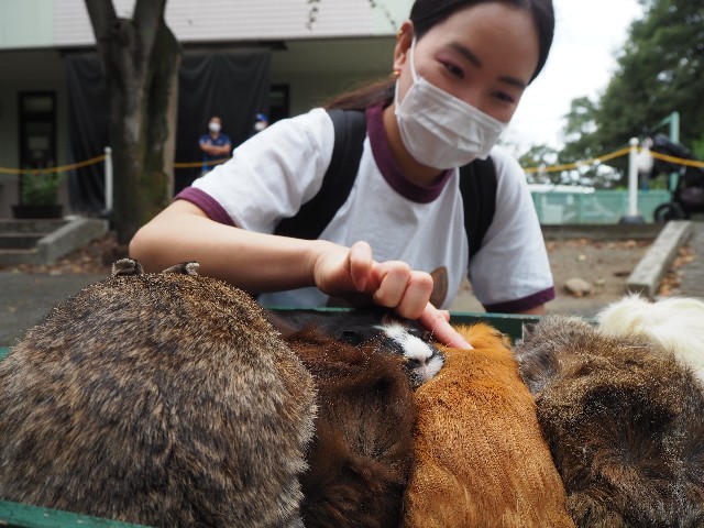 f:id:sakamotwin:20201011213236j:image