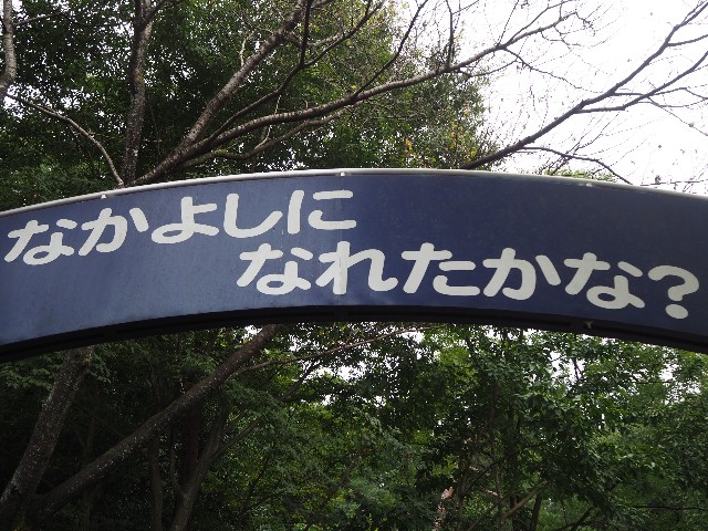 f:id:sakamotwin:20201011213538j:image