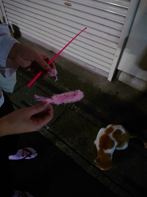 f:id:sakamotwin:20201026225816j:image