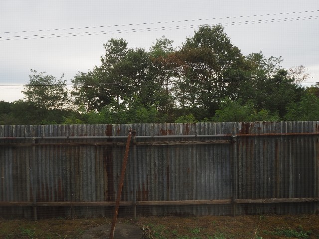 f:id:sakamotwin:20201115202456j:image