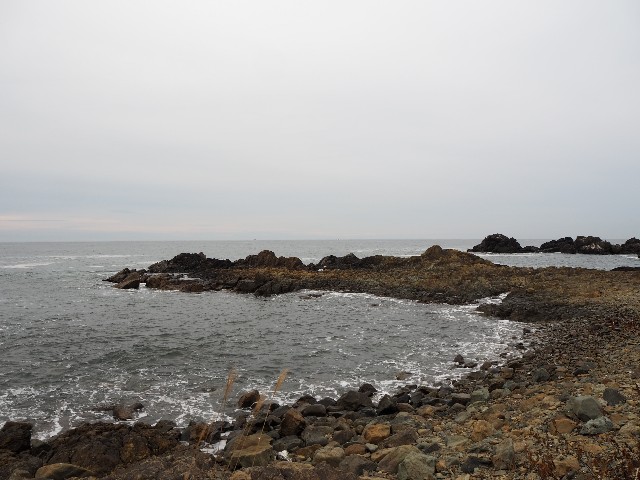 f:id:sakamotwin:20201214215607j:image