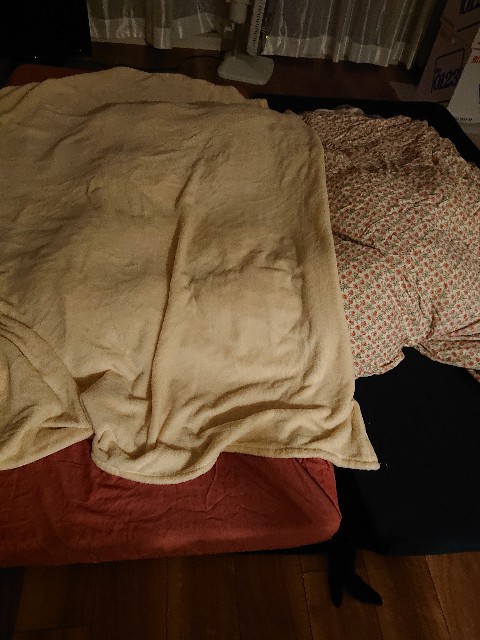 f:id:sakamotwin:20210324204626j:image