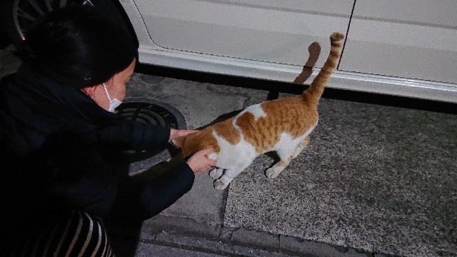 f:id:sakamotwin:20210416171029j:image