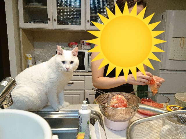 f:id:sakamotwin:20210823194912j:image