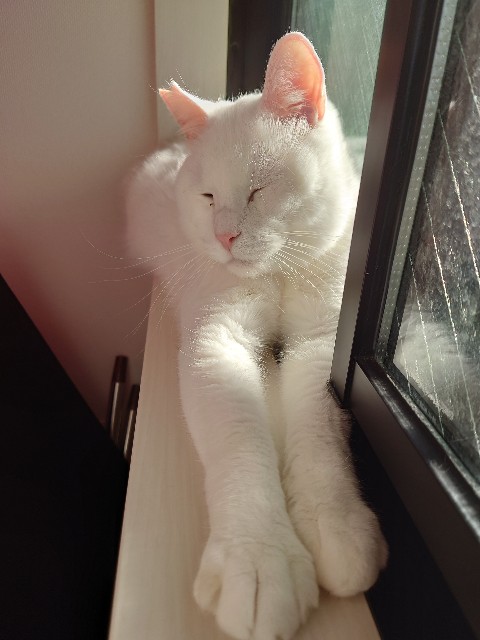 f:id:sakamotwin:20210920233821j:image f:id:sakamotwin:20210920233821j:image