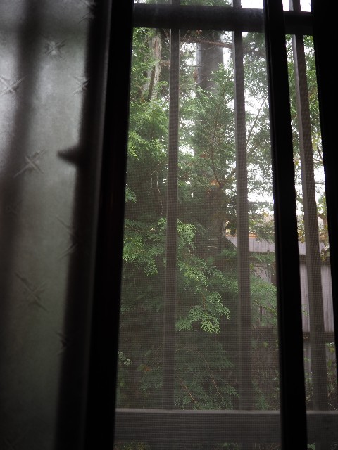 f:id:sakamotwin:20211102233556j:image
