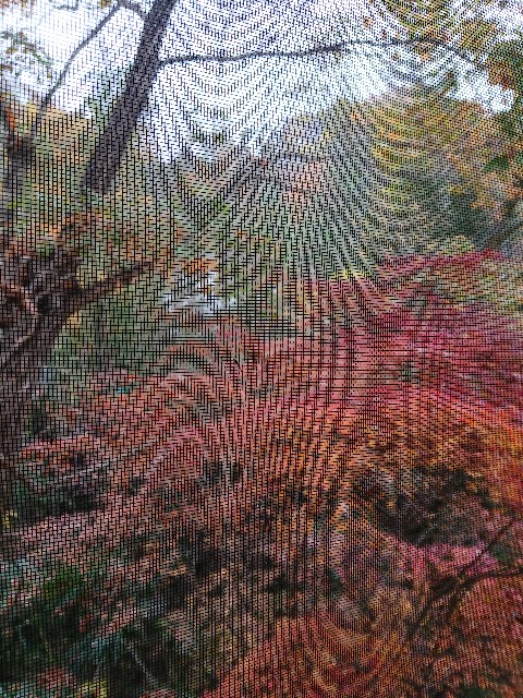 f:id:sakamotwin:20211127230130j:image