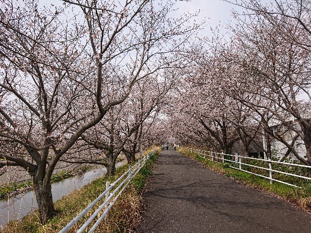 f:id:sakamotwin:20220513161327j:image