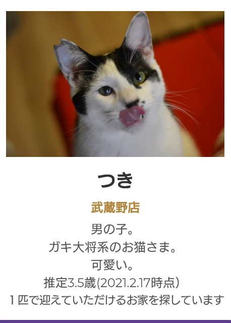 f:id:sakamotwin:20220731104405j:image