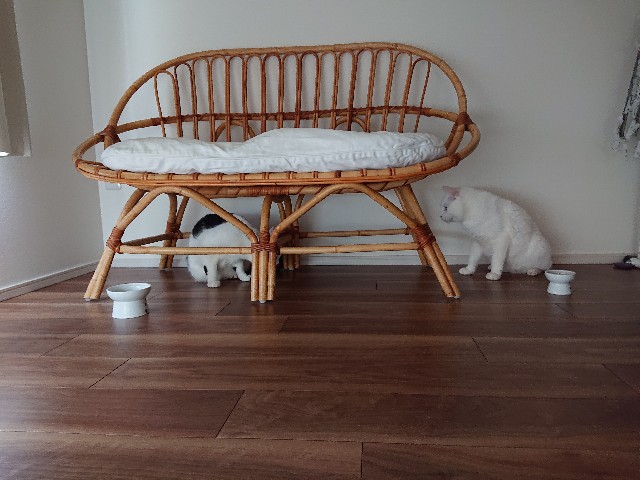 f:id:sakamotwin:20220731110330j:image