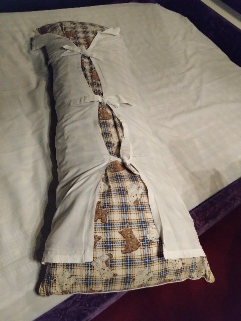 f:id:sakamotwin:20221026231615j:image