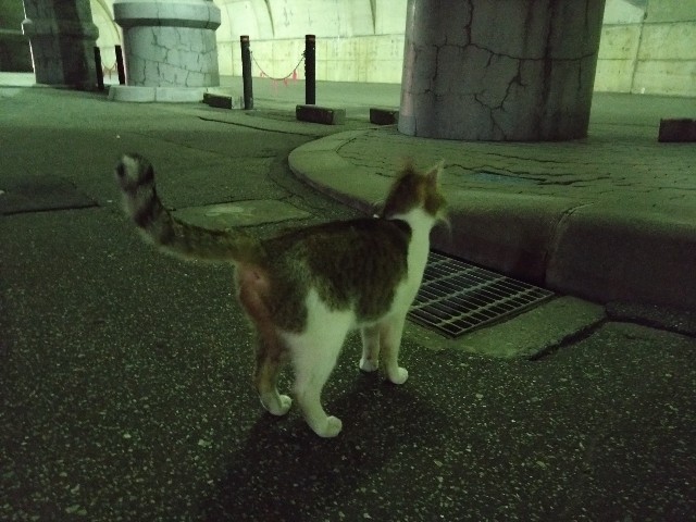 f:id:sakamotwin:20221029234525j:image