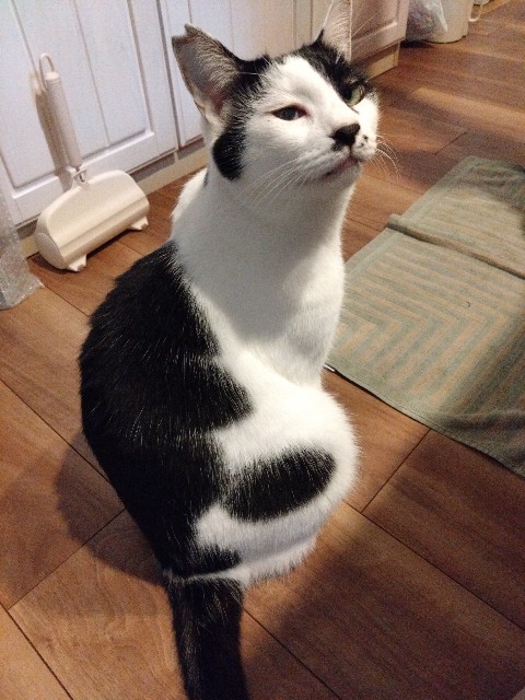 f:id:sakamotwin:20221030213143j:image f:id:sakamotwin:20221030213143j:image