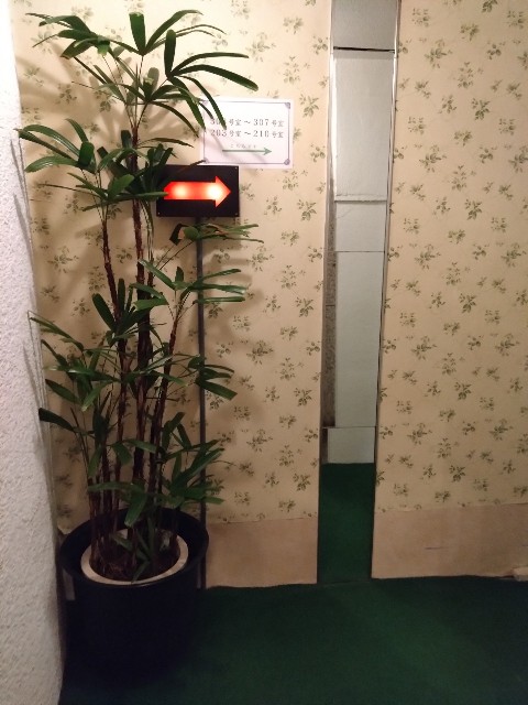 f:id:sakamotwin:20221203230426j:image