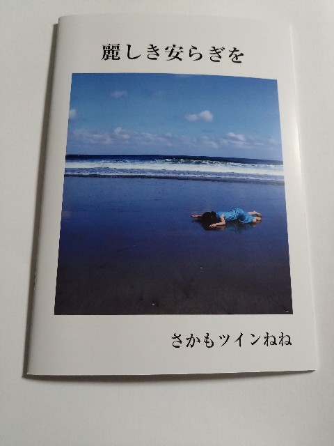 f:id:sakamotwin:20230128134342j:image