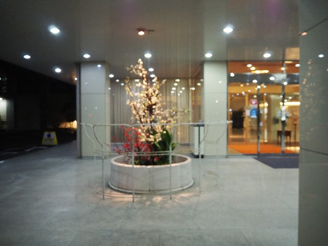 f:id:sakamotwin:20230312124532j:image