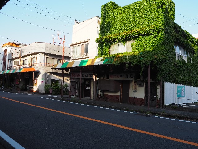 f:id:sakamotwin:20230624234546j:image