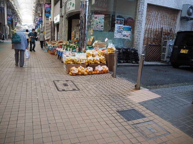 f:id:sakamotwin:20230624235029j:image