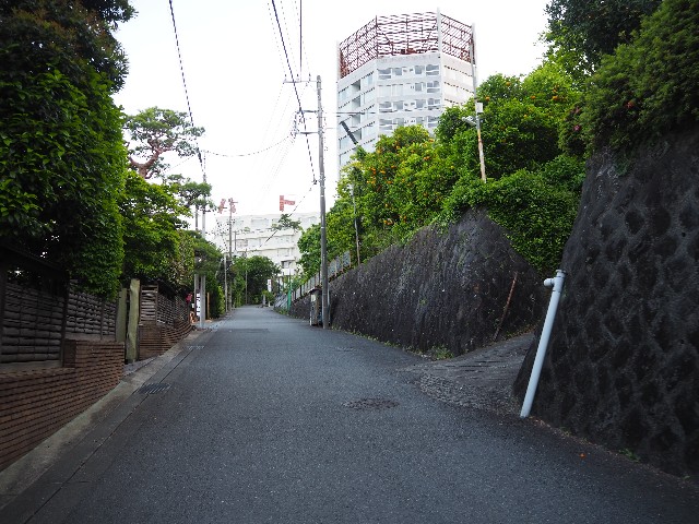 f:id:sakamotwin:20230625000252j:image