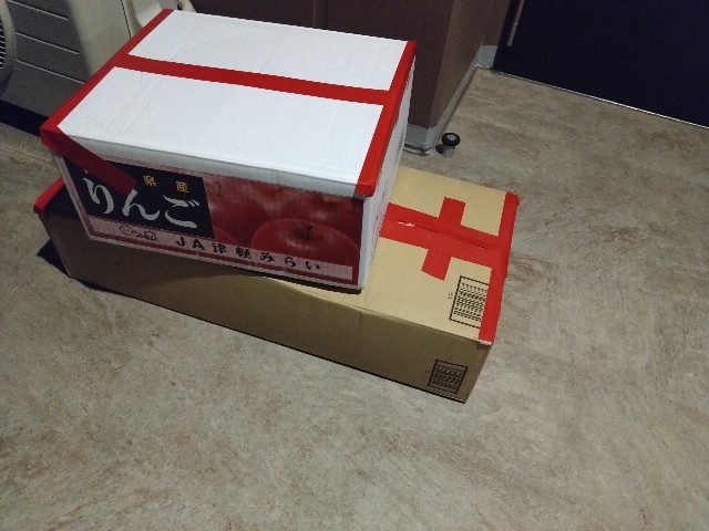 f:id:sakamotwin:20231201223715j:image