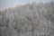 20131216183857