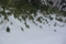 20131216183903