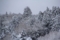 20131216183910