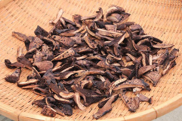 肴ならではの天然きのこ料理 【香茸】 - 飛騨季節料理 肴店主の日記