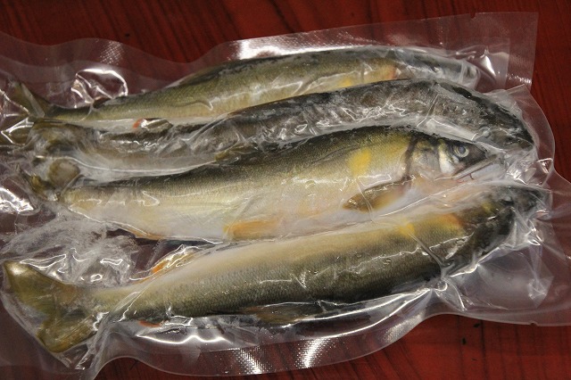 f:id:sakana-tensyu:20170805073744j:plain